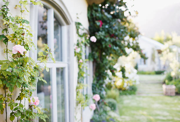 Comment fleurir un mur extérieur ?