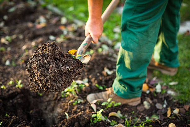 Quand retourner la terre de son jardin ?