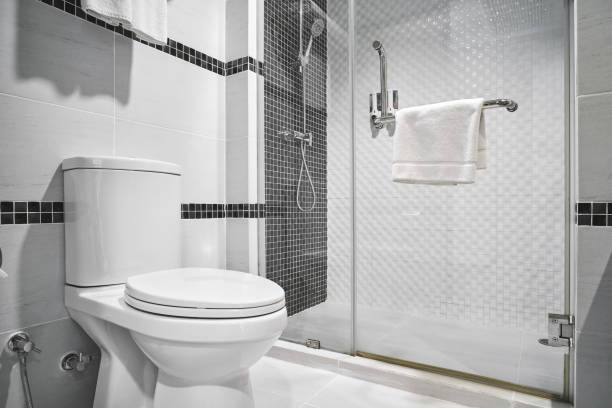 Comment se servir d’une douchette de WC ?