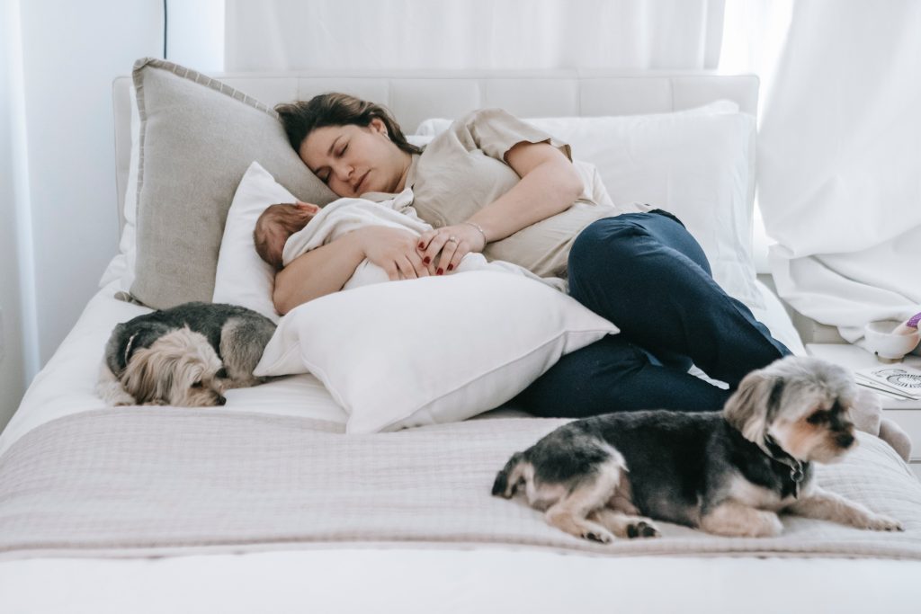 Quels sont les différents types de couchages pour chien ?