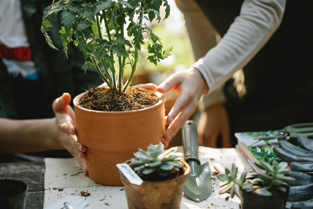 Quels sont les outils indispensables du jardinier ?