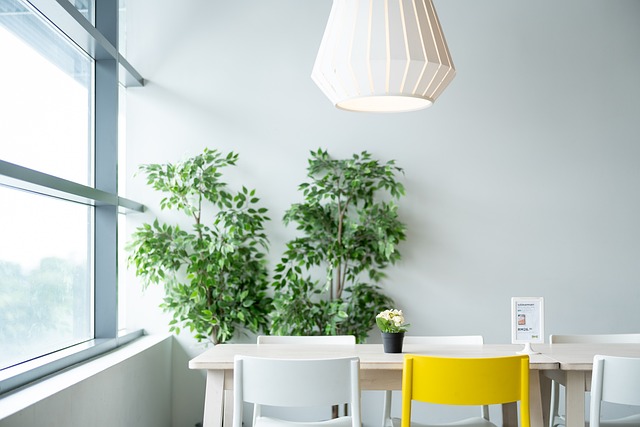 Où trouver des décorations scientifiques uniques et intéressantes ?