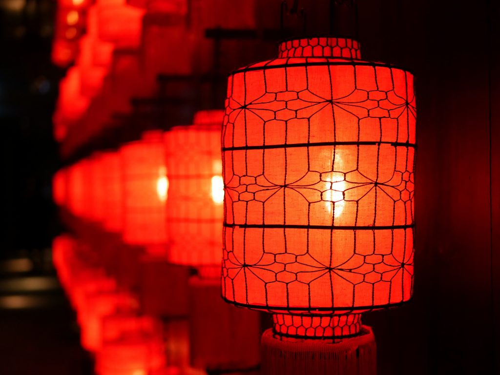 Tout sur les Lampes de Survie : Choix et Utilisation