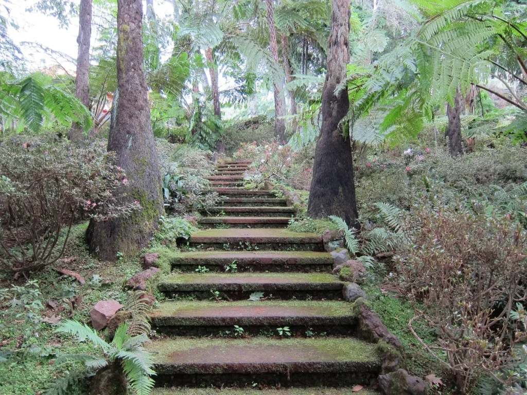 Explorer le Domaine Valcenne autrement : sentiers, pauses et observation