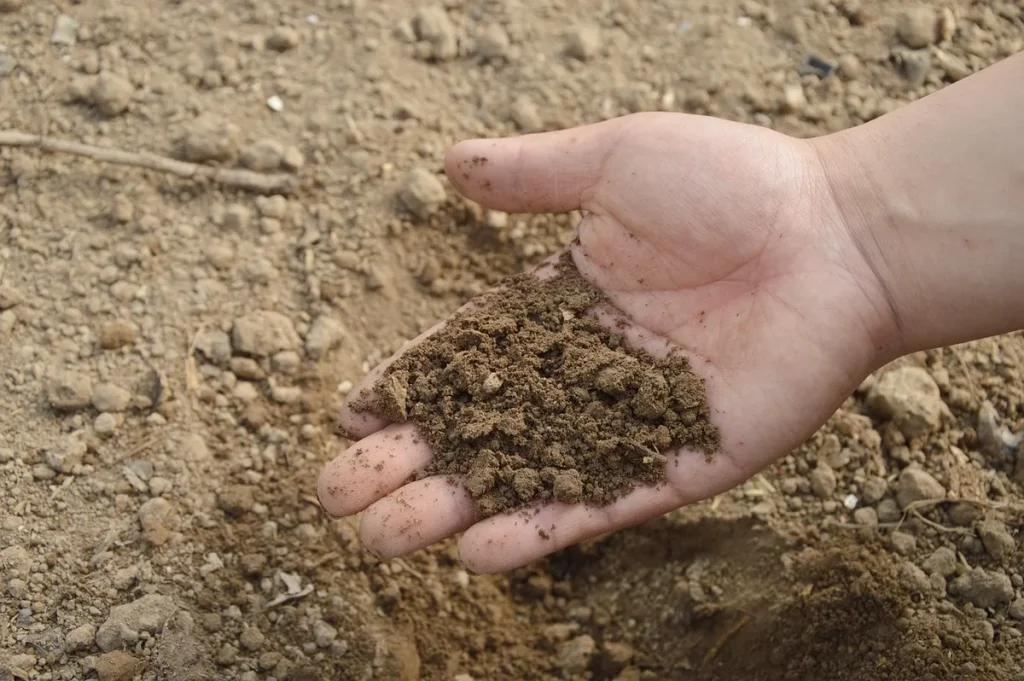 Découvrir Florevi Jardin : engrais organiques pour potager et ornement