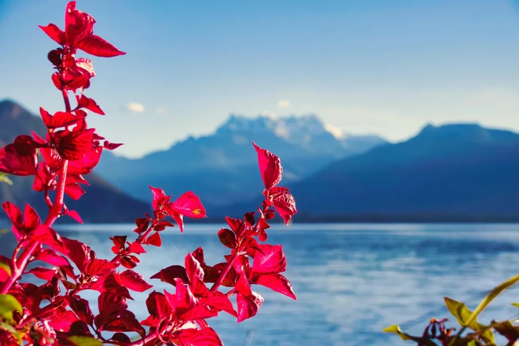 5 façons d'intégrer la nature dans votre intérieur