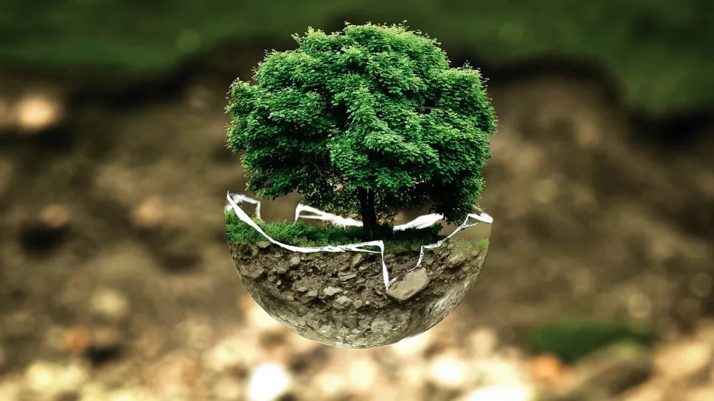 Comparatif des méthodes écologiques pour un jardin sain